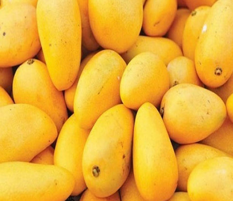 Mango Sindhri Box (Sea Freight)