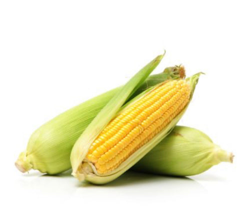 Fresh Corn 1kg
